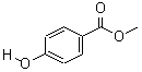 ֣ݶǻ